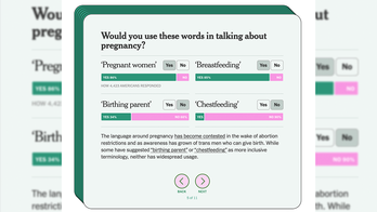 New York Times quiz on 'offending' words reveals employees opinions on terms like ‘chest feeding’
