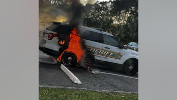 Florida man sets police car on fire, claims he does 'stupid things' when getting 'drunk': police