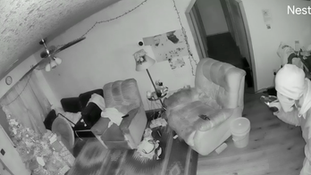 Arizona police release video of suspect who broke into sleeping family's home