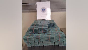 Ohio CBP officers seize nearly 30,000 pills, 700 jelly packs of Sildenafil, active Viagra ingredient