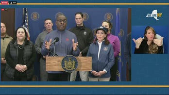 Buffalo mayor torches winter storm looters: 'They are the lowest of the low'