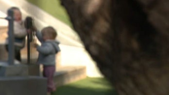 California father says baby son overdosed on fentanyl during park visit