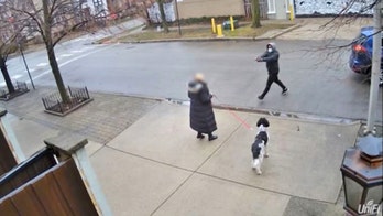Brazen daylight robbery of elderly Chicago woman at gunpoint caught on camera