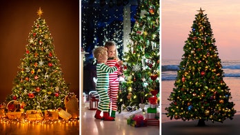 Christmas tree quiz! See how well you know these famous Christmas trees and more