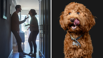 Reddit poster says his wife is 'very angry' he now owns his dad's orphaned dog: 'Took the liberty'