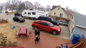 Nebraska pit bull caught on video helping owner walk across icy path