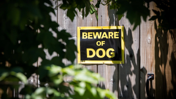 Cave Springs, Arkansas: 4-day-old baby killed by family dog, police say