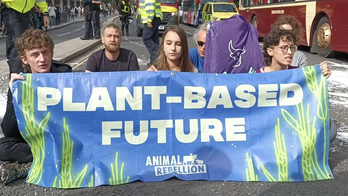 British animal rights activists protest at London steakhouse owned by 'Salt Bae'