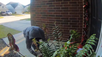Texas porch pirates return packages they stole: 'It was shocking'