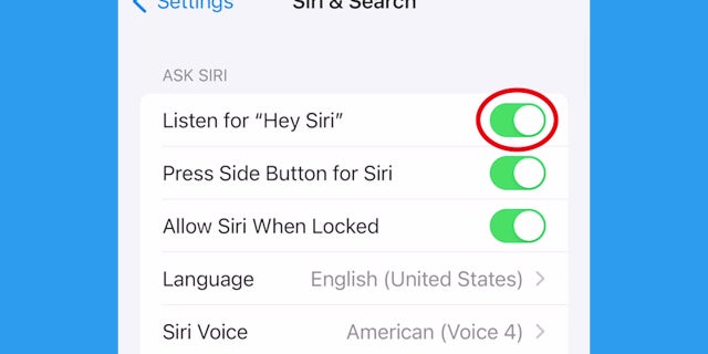 Screenshot of iPhone settings