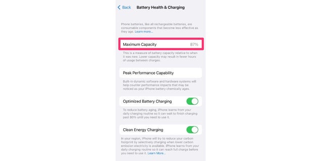 This screen shows the health level of the battery.