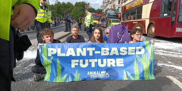 Animal Rebellion activists sit with a banner on a white painted road as they protest against conventional farming and fishing, outside the Houses of Parliament, in London, Britain, September 7, 2022. 