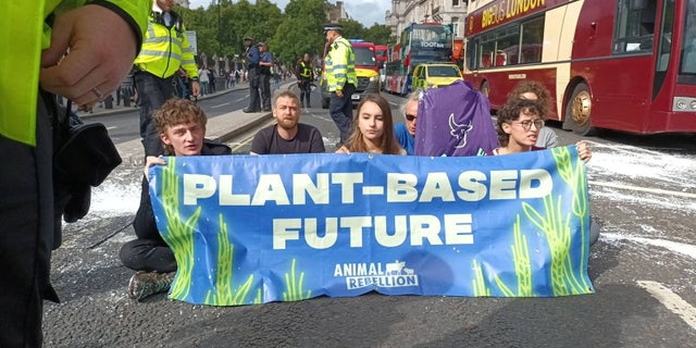 Animal Rebellion activists sit with a banner on a white painted road as they protest against conventional farming and fishing, outside the Houses of Parliament, in London, Britain, September 7, 2022.