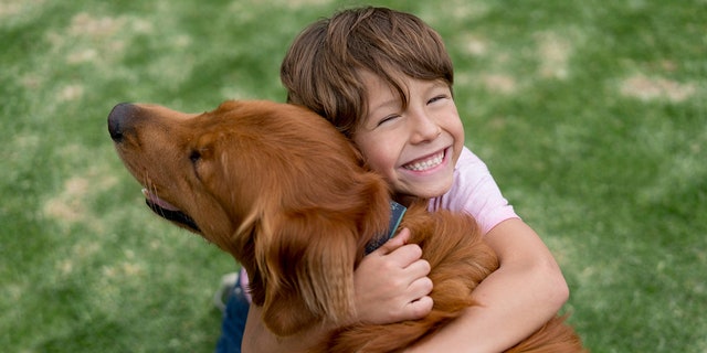 پسری شاد یک گلدن رتریور را در آغوش می گیرد.  یک متخصص گفت تا زم، که بچه ها از نظر جسمی ایمن باشند، درمان با حیوانات خانگی می تواند "مطمئنا کمک می کند" در شرایط جدی مانند جنگ.