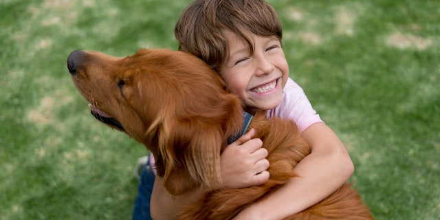 A happy boy embraces a Golden retriever. As long as the kids are physically safe, said one expert, pet therapy can "certainly help" in serious circumstances such as war.