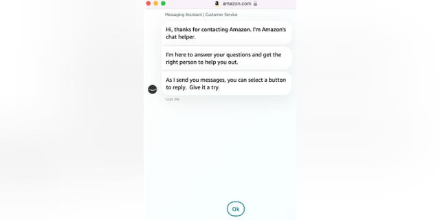 Screenshot of Amazon messaging assistant with dialogue explaining it is Amazon's chat helper with instructions to select a button to reply as it sends messages to the customer.