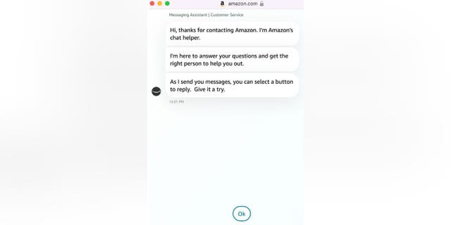 Screenshot of the live chat box with Amazon customer service.