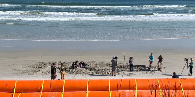 Archeologists are working to uncover what they believe to be shipwreck remains at Daytona Beach Shores.