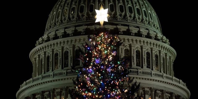 The US Capitol Christmas Tree stands on Capitol Hill in Washington, DC, on November 29, 2022.