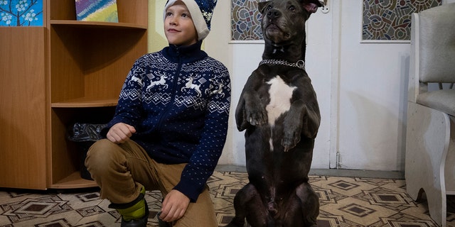 A boy poses for a photo with American Pit Bull Terrier "Bice" in the Center for Social and Psychological Rehabilitation in Boyarka near Kyiv, Ukraine, on Wednesday, Dec. 7, 2022. 