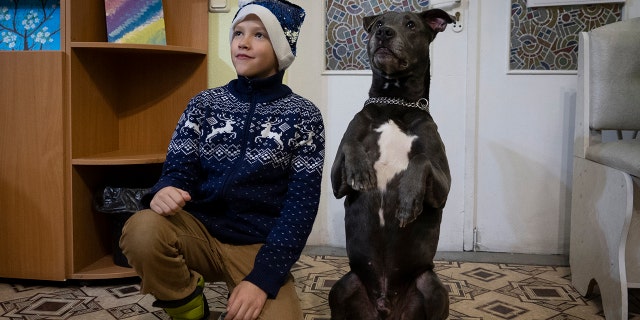 A boy poses for a photo with American Pit Bull Terrier "Bice" in the Center for Social and Psychological Rehabilitation in Boyarka near Kyiv, Ukraine, on Wednesday, Dec. 7, 2022. 