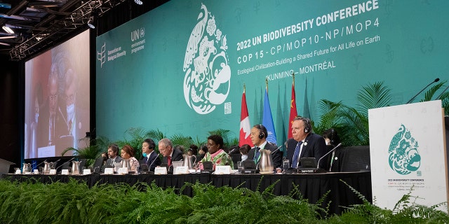The head table gets set to open the high level segment at the COP15 biodiversity conference, in Montreal, Thursday, Dec. 15, 2022.