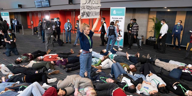 Members of the Global Youth Biodiversity Network demonstrate in the halls of the convention center at the COP15 UN conference on biodiversity in Montreal, on Friday, Dec. 16, 2022.