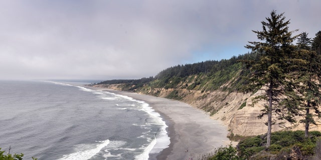 View of Pacific coast, northern California 