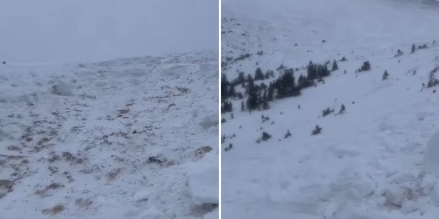 These still images from video the hiker provided to officials shows his view up and down the mountain from where the avalanche carried him.