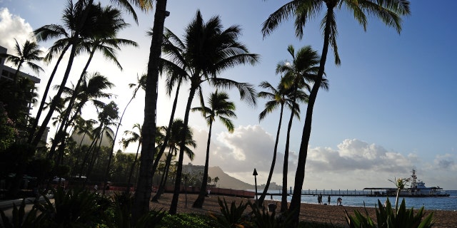 A US Coast Guard ship sits docked just off shore in front the Hilton Hawaiian Village hotel along Waikiki beach on Nov. 12, 2011 in Honolulu, Hawaii.