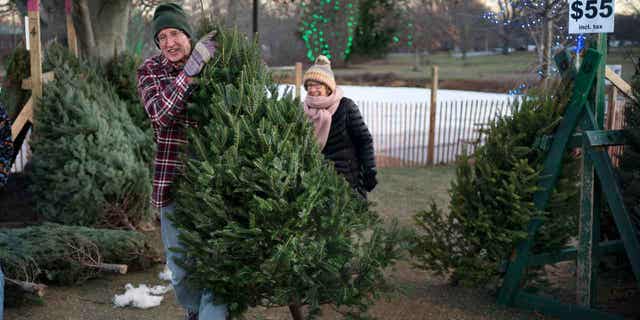 Larry Gurnee carries a $55 Christmas tree he selected with his wife at a Rotary Club tree sale on Dec. 14, 2022, in South Portland, Maine. Americans are still buying Christmas trees despite inflation raising the prices.