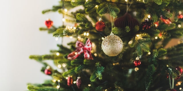 La prise de bec sur les réseaux sociaux au milieu des résidents locaux à propos d'un arbre de Noël a été officiellement condamnée par le gouvernement de Dedham, dans le Massachusetts.