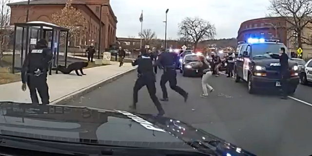 Officers are seen moving in on Christopher Francisquini, left, during his arrest on Friday, Dec. 2 in Waterbury, Connecticut.