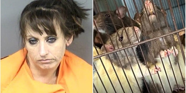 Shannon Marie Morgan, 38, has been charged with animal cruelty and child neglect