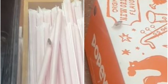 Detroit Popeyes closes after DoorDash driver video shows roaches on food order Detroit Popeyes closes after DoorDash driver video shows roaches on food order