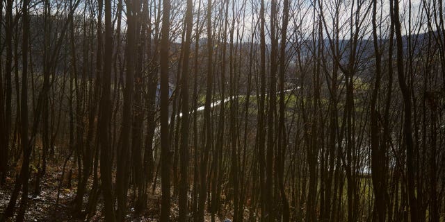 A Croatian MiG-21 military plane crashed during a training flight on Tuesday. The crash happened in an uninhabited forest and a search team is still looking for the crew. Pictured is the road to Croatia is seen through trees in Velika Kladusa, Bosnia and Herzegovina.