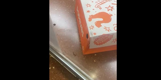 Cockroach on the counter of Detroit Popeyes