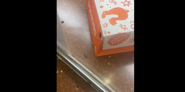 Cockroach on the counter of Detroit Popeyes