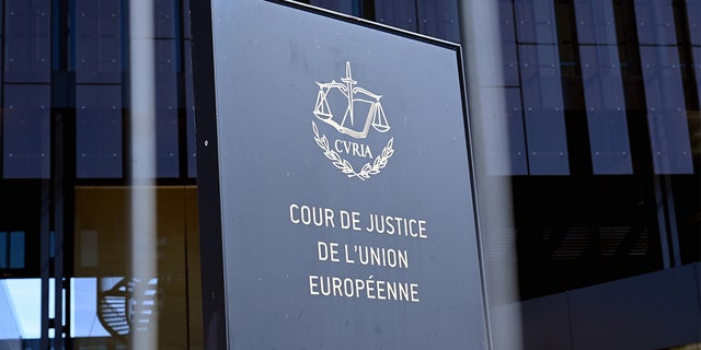 The European Court of Justice, ECJ.