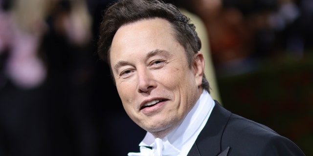 Elon Musk