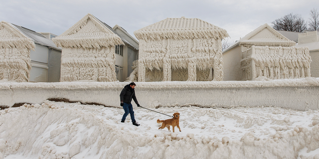 A man walks a dog as the frozen homes are seen in the background in Fort Erie, Ontario, on Wednesday, Dec. 28.