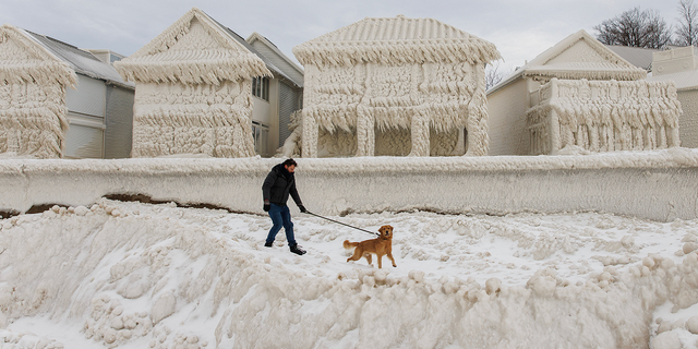 A man walks a dog as the frozen homes are seen in the background in Fort Erie, Ontario, on Wednesday, Dec. 28.