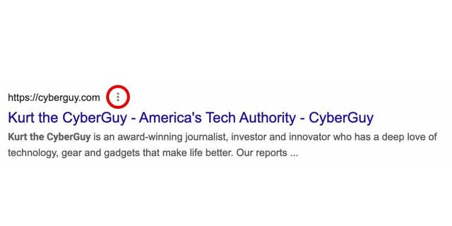 Tap the three dots to request that Google remove information from a search result.