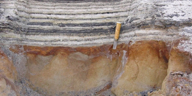 This 2006 photo provided by researchers shows a close-up of organic material in coastal deposits at Kap Kobenhavn, Greenland. The organic layers show traces of the rich plant flora and insect fauna that lived two million years ago. 