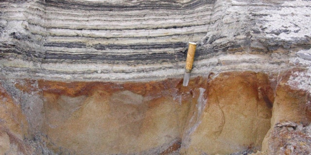 This 2006 photo provided by researchers shows a close-up of organic material in coastal deposits at Kap Kobenhavn, Greenland. The organic layers show traces of the rich plant flora and insect fauna that lived two million years ago.