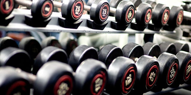 Dumbbells sit on a shelf in a closed fitness studio of Peter Firnhaber. 