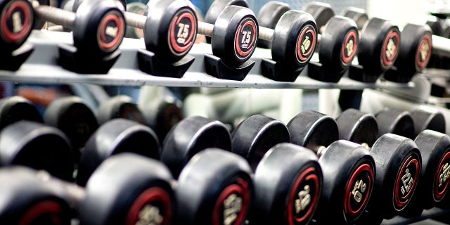 Dumbbells sit on a shelf in a closed fitness studio of Peter Firnhaber. 