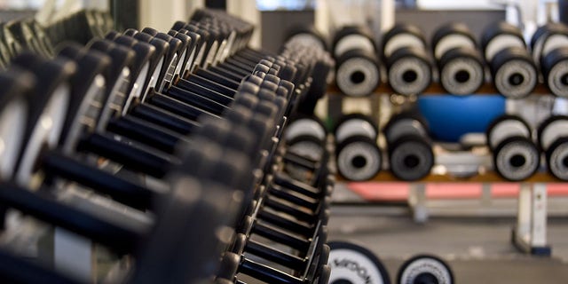 In the FHC gym, dumbbells and other weights sit on a shelf. 