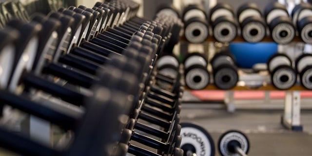 In the FHC gym, dumbbells and other weights sit on a shelf. 