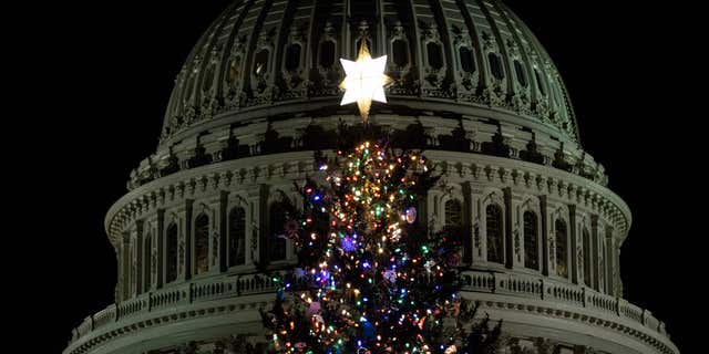 The US Capitol Christmas Tree stands on Capitol Hill in Washington, DC, on November 29, 2022. 
